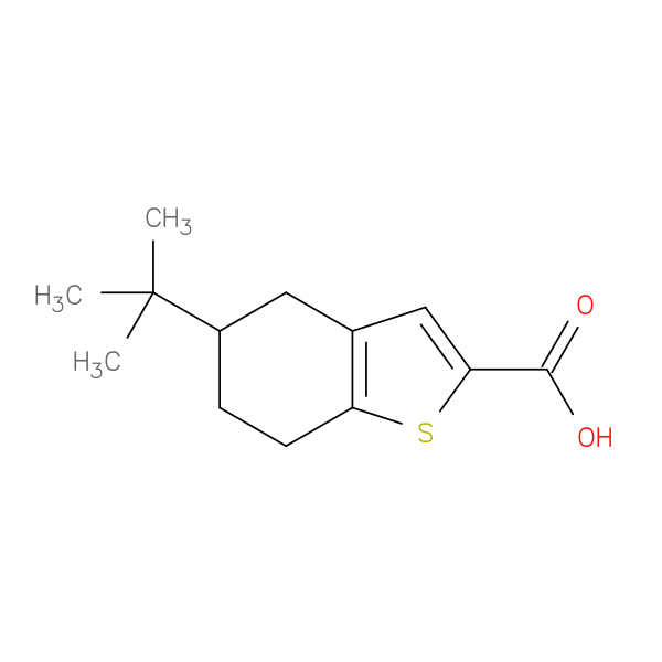 5-(tert-Butyl)-4,5,6,7-tetrahydrobenzo[b]thiophene-2-carboxylic acid