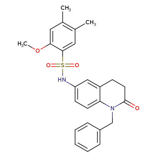 N-(1-benzyl-2-oxo-1,2,3,4-tetrahydroquinolin-6-yl)-2-methoxy-4,5-dimethylbenzene-1-sulfonamide