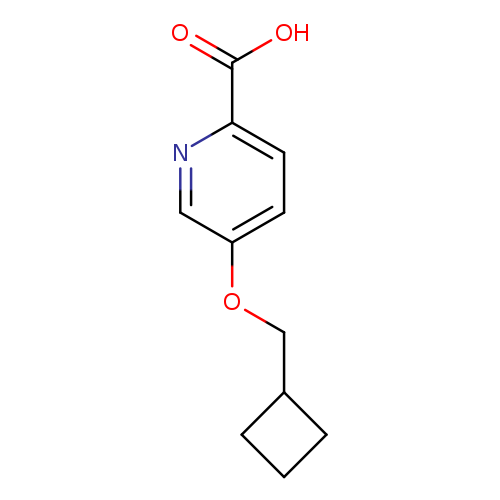 5-(Cyclobutylmethoxy)pyridine-2-carboxylic acid