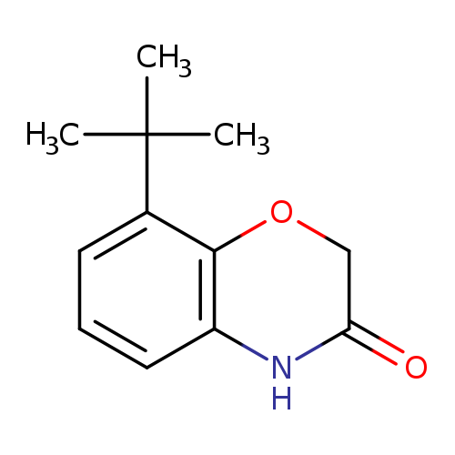 8-tert-Butyl-3,4-dihydro-2h-1,4-benzoxazin-3-one