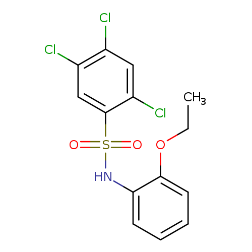 2,4,5-trichloro-N-(2-ethoxyphenyl)benzene-1-sulfonamide