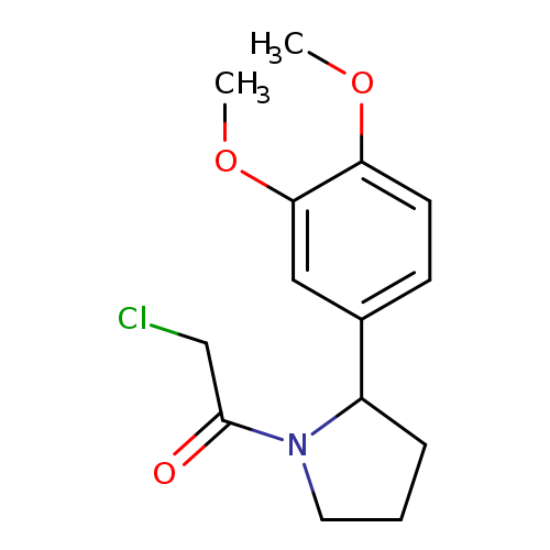 2-chloro-1-[2-(3,4-dimethoxyphenyl)pyrrolidin-1-yl]ethan-1-one
