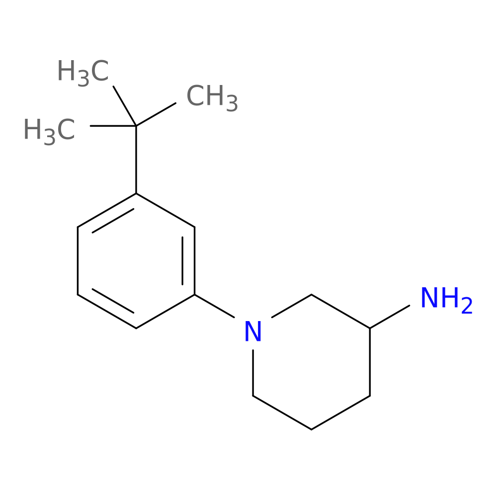 1-(3-tert-butylphenyl)piperidin-3-amine