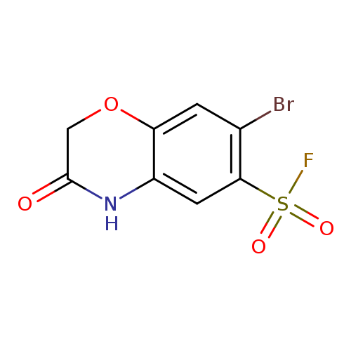 7-bromo-3-oxo-3,4-dihydro-2H-1,4-benzoxazine-6-sulfonylfluoride