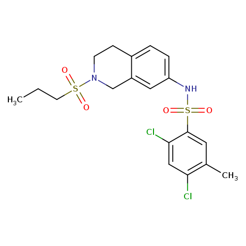 2,4-dichloro-5-methyl-N-[2-(propane-1-sulfonyl)-1,2,3,4-tetrahydroisoquinolin-7-yl]benzene-1-sulfonamide