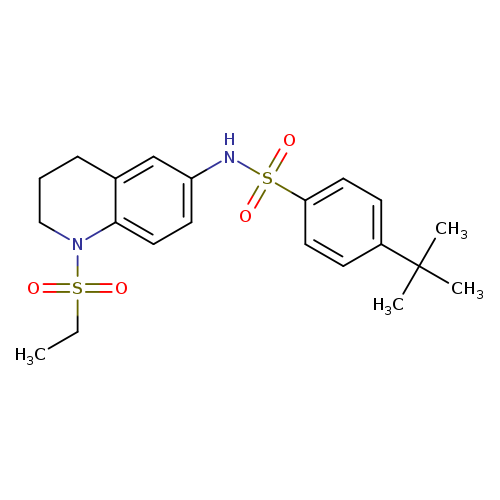 4-tert-butyl-N-[1-(ethanesulfonyl)-1,2,3,4-tetrahydroquinolin-6-yl]benzene-1-sulfonamide