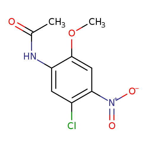 N1-(5-CHLORO-2-METHOXY-4-NITROPHENYL)ACETAMIDE