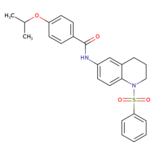 N-[1-(benzenesulfonyl)-1,2,3,4-tetrahydroquinolin-6-yl]-4-(propan-2-yloxy)benzamide