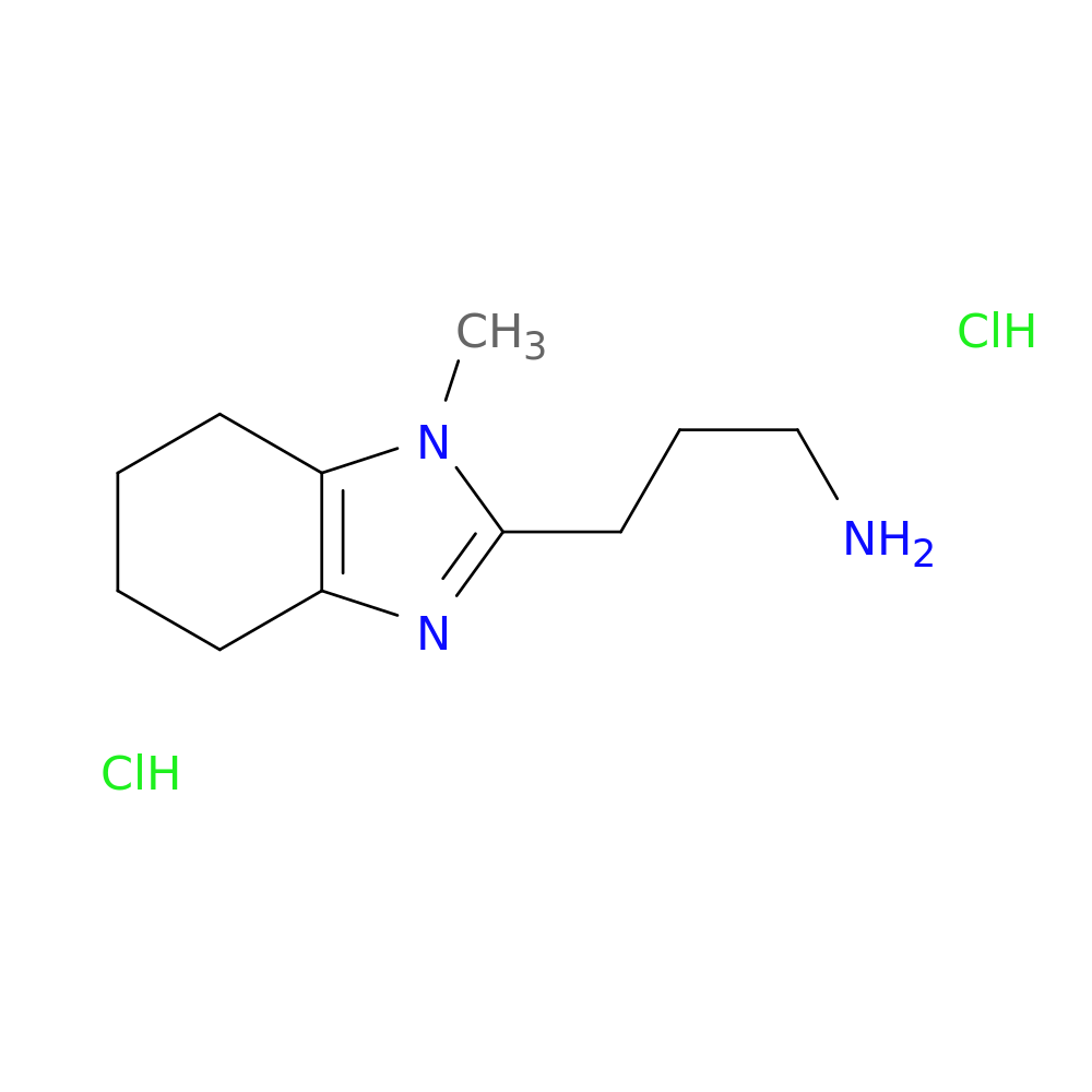 3-(1-methyl-4,5,6,7-tetrahydro-1H-1,3-benzodiazol-2-yl)propan-1-amine dihydrochloride