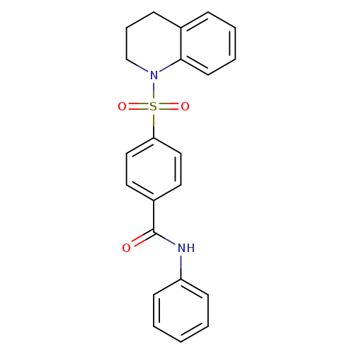 N-phenyl-4-(1,2,3,4-tetrahydroquinoline-1-sulfonyl)benzamide