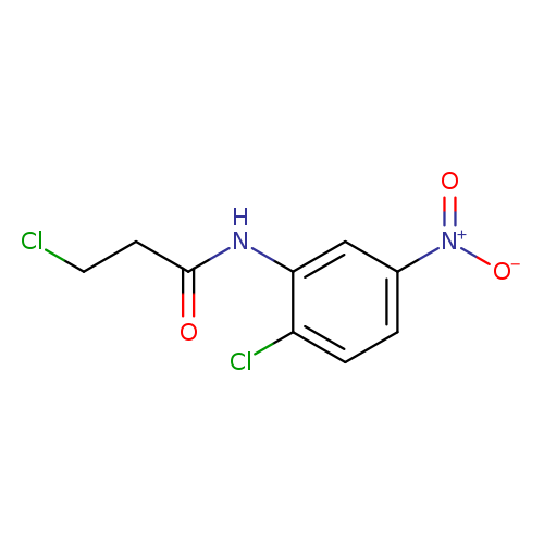 3-Chloro-N-(2-chloro-5-nitrophenyl)propanamide