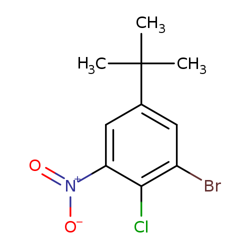 3-Bromo-4-chloro-5-nitro-tert-butylbenzene