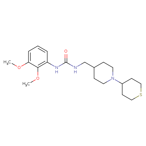 3-(2,3-dimethoxyphenyl)-1-{[1-(thian-4-yl)piperidin-4-yl]methyl}urea