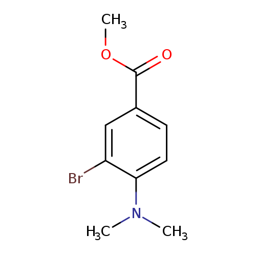 Methyl 3-broMo-4-(diMethylaMino)benzoate
