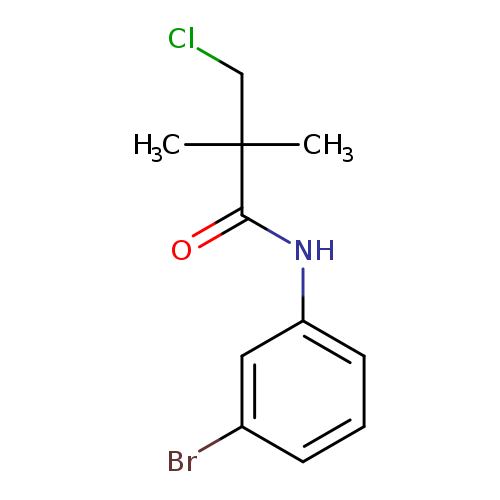 N-(3-bromophenyl)-3-chloro-2,2-dimethylpropanamide