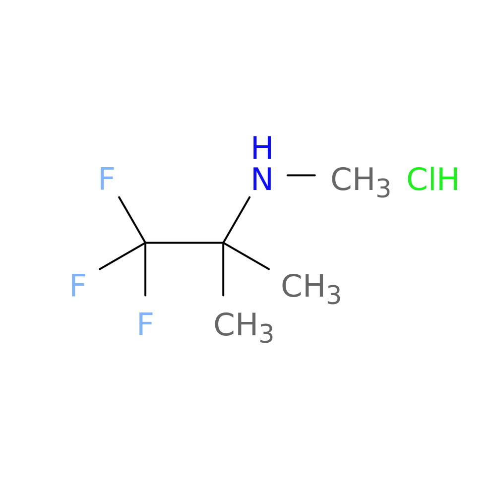 methyl(1,1,1-trifluoro-2-methylpropan-2-yl)amine hydrochloride