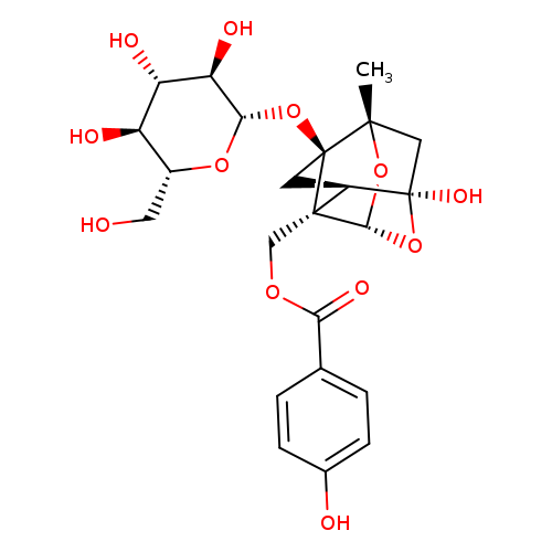 Oxypaeoniflora