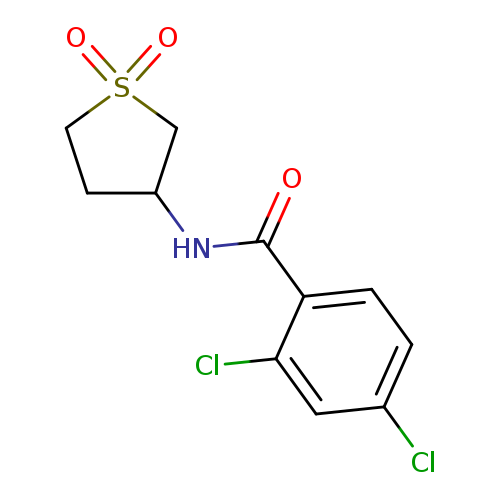 2,4-dichloro-N-(1,1-dioxo-1lambda6-thiolan-3-yl)benzamide