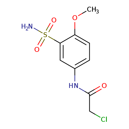 2-chloro-N-(4-methoxy-3-sulfamoylphenyl)acetamide