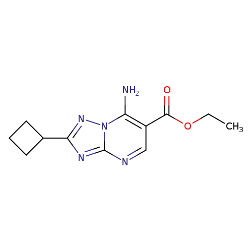 Ethyl 7-amino-2-cyclobutyl[1,2,4]triazolo[1,5-a]pyrimidine-6-carboxylate