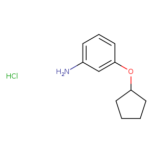 3-(Cyclopentyloxy)aniline hydrochloride