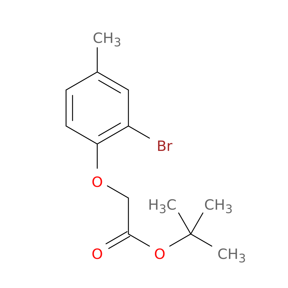 tert-Butyl 2-(2-bromo-4-methylphenoxy)acetate