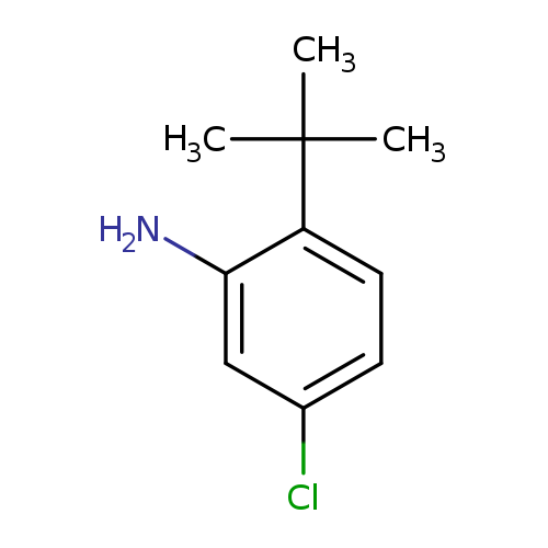 2-tert-butyl-5-chloroaniline