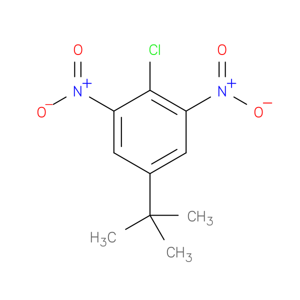 5-(tert-Butyl)-2-chloro-1,3-dinitrobenzene
