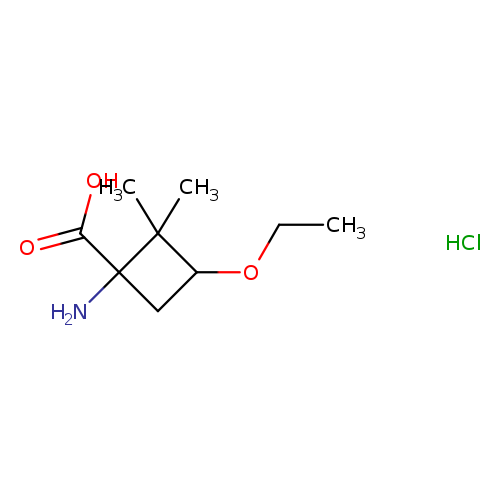 1-amino-3-ethoxy-2,2-dimethylcyclobutane-1-carboxylic acid hydrochloride