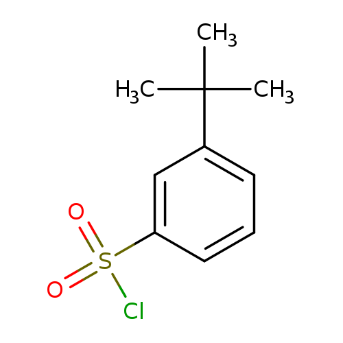 Benzenesulfonyl chloride, 3-(1,1-dimethylethyl)-