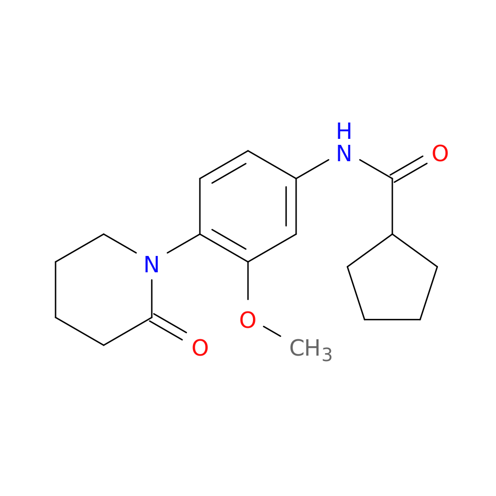 N-[3-methoxy-4-(2-oxopiperidin-1-yl)phenyl]cyclopentanecarboxamide