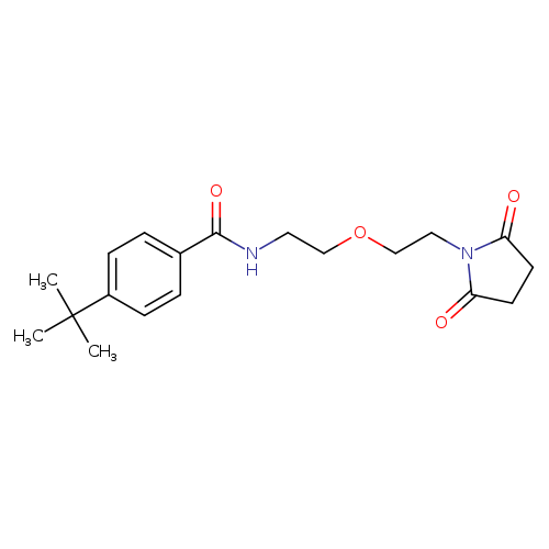 4-tert-butyl-N-{2-[2-(2,5-dioxopyrrolidin-1-yl)ethoxy]ethyl}benzamide