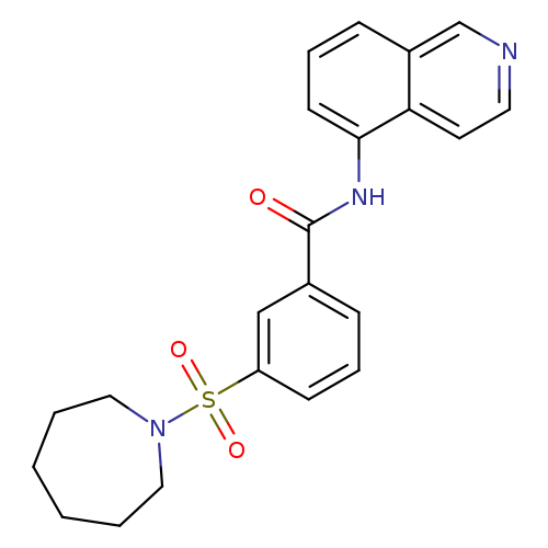 3-(azepane-1-sulfonyl)-N-(isoquinolin-5-yl)benzamide