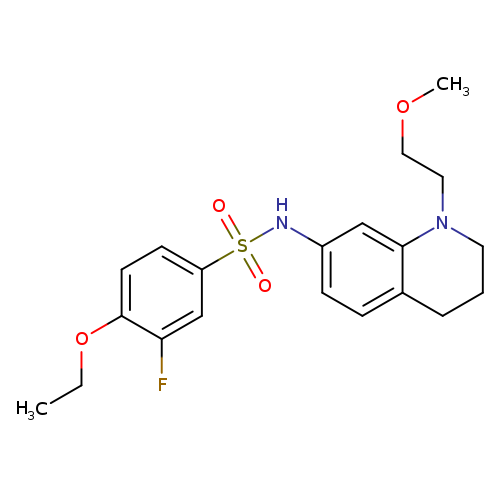 4-ethoxy-3-fluoro-N-[1-(2-methoxyethyl)-1,2,3,4-tetrahydroquinolin-7-yl]benzene-1-sulfonamide
