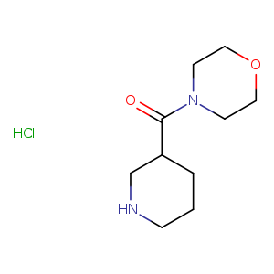 Morpholino(piperidin-3-yl)methanone hydrochloride