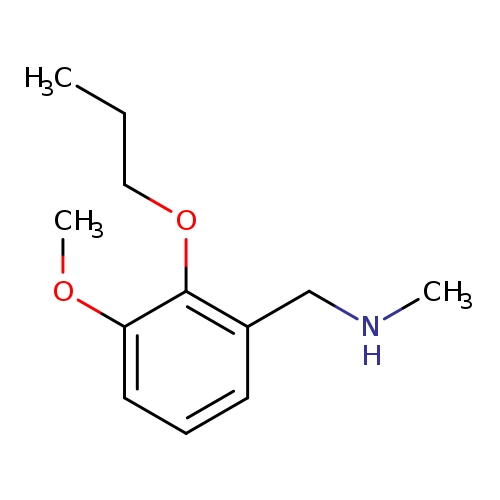 (3-Methoxy-2-propoxybenzyl)methylamine