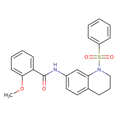 N-[1-(benzenesulfonyl)-1,2,3,4-tetrahydroquinolin-7-yl]-2-methoxybenzamide