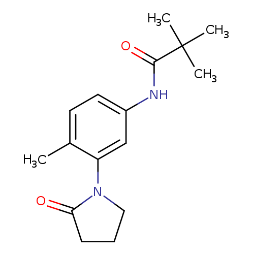 2,2-dimethyl-N-[4-methyl-3-(2-oxopyrrolidin-1-yl)phenyl]propanamide