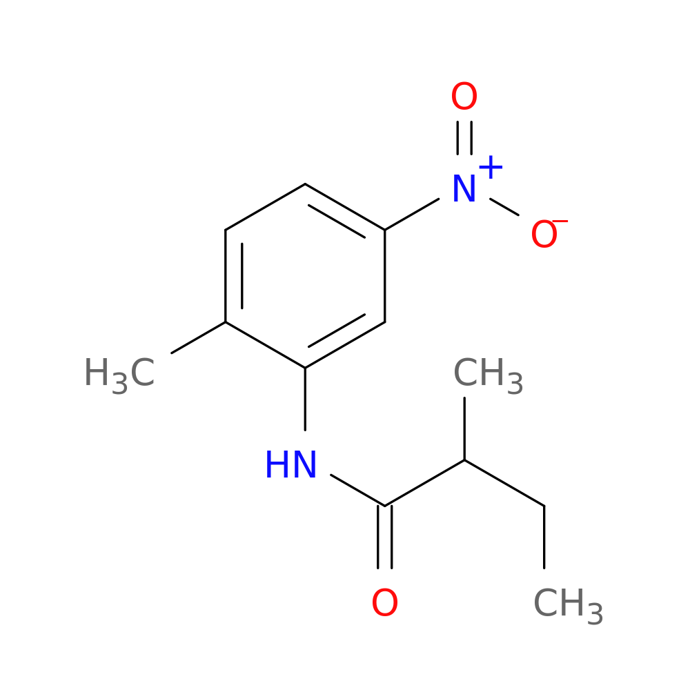 N-{5-nitro-2-methylphenyl}-2-methylbutanamide