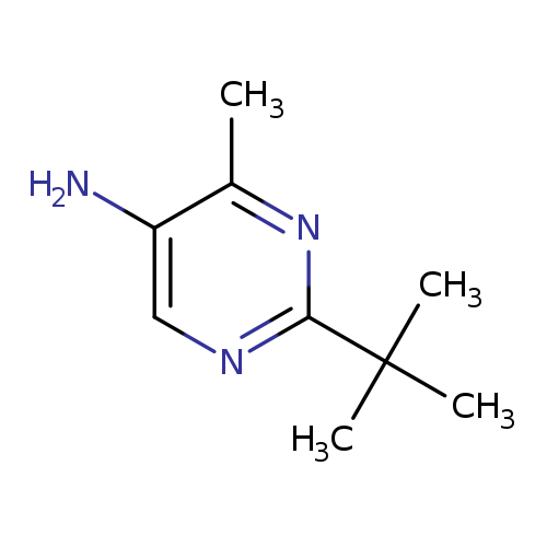 2-tert-butyl-4-methylpyrimidin-5-amine