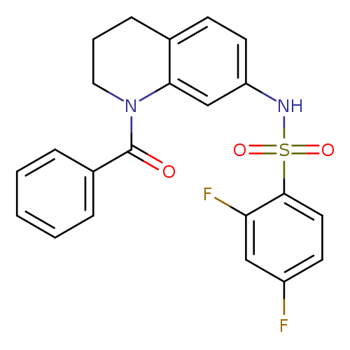 N-(1-benzoyl-1,2,3,4-tetrahydroquinolin-7-yl)-2,4-difluorobenzene-1-sulfonamide