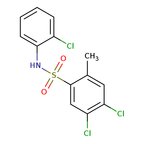 4,5-dichloro-N-(2-chlorophenyl)-2-methylbenzene-1-sulfonamide