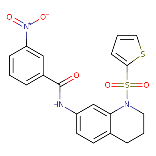 3-nitro-N-[1-(thiophene-2-sulfonyl)-1,2,3,4-tetrahydroquinolin-7-yl]benzamide