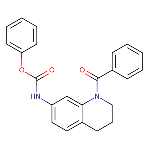 phenyl N-(1-benzoyl-1,2,3,4-tetrahydroquinolin-7-yl)carbamate