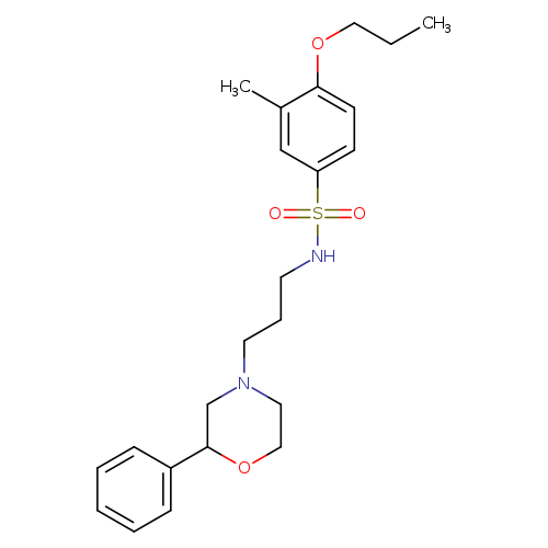 3-methyl-N-[3-(2-phenylmorpholin-4-yl)propyl]-4-propoxybenzene-1-sulfonamide
