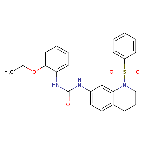 3-[1-(benzenesulfonyl)-1,2,3,4-tetrahydroquinolin-7-yl]-1-(2-ethoxyphenyl)urea