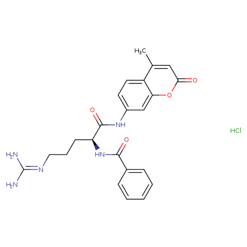 Nα-Benzoyl-L-arginine-7-amido-4-methylcoumarin hydrochloride