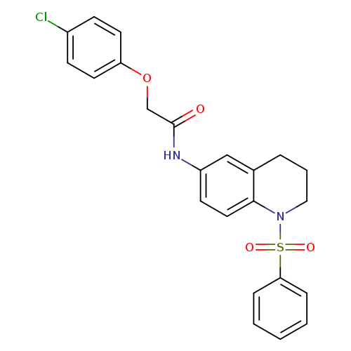 N-[1-(benzenesulfonyl)-1,2,3,4-tetrahydroquinolin-6-yl]-2-(4-chlorophenoxy)acetamide