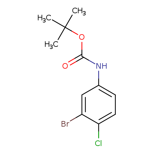 tert-Butyl 3-bromo-4-chlorophenylcarbamate