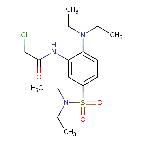 2-Chloro-N-[2-(diethylamino)-5-(diethylsulfamoyl)phenyl]acetamide